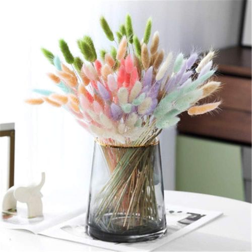  Brand: LucaSng LucaSng 20pcs Pampasgrass Decoration Natural Pampasgrass Dried Flowers Artificial Flowers Reed Grass Small Dried Flowers for Wedding Home Party Photography Hotel Vase Decoration