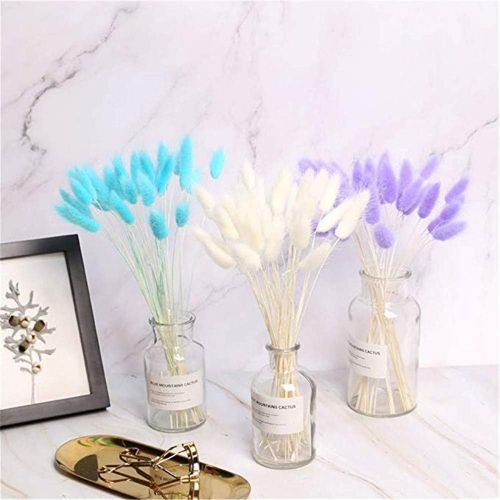  Brand: LucaSng LucaSng 20pcs Pampasgrass Decoration Natural Pampasgrass Dried Flowers Artificial Flowers Reed Grass Small Dried Flowers for Wedding Home Party Photography Hotel Vase Decoration