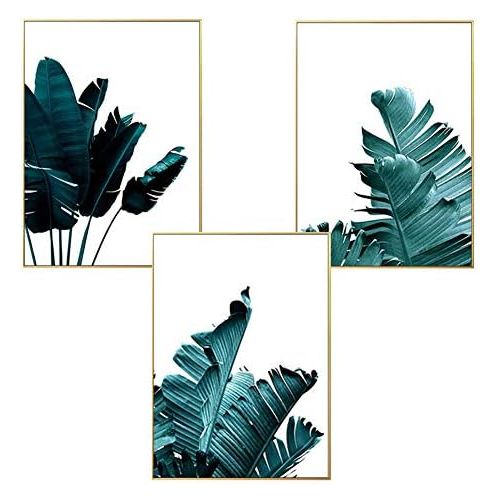  Brand: LucaSng LucaSng Premium Poster Set of 3 Palm Leaf Parrot Bird Pineapple Wall Art Poster Without Picture Frame Green Print Images for Living Room, Style D, 30 x 40 cm