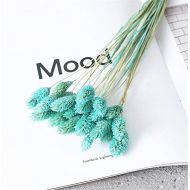 Brand: LucaSng LucaSng 60 pcs Dried Pampasgrass Natural Velvet Grass Phragmites Bouquet Artificial Flowers Dry Flowers Boho Decoration for Whon Room Home