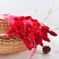 Brand: LucaSng LucaSng 50pcs Dried Pampasgrass Dried Flower Bouquet Decorative Artificial Flowers for Home Living Room Vase Wedding