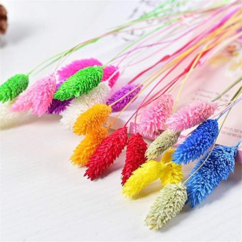  Brand: LucaSng LucaSng 50pcs Dried Pampasgrass Dried Flower Bouquet Decorative Artificial Flowers for Home Living Room Vase Wedding