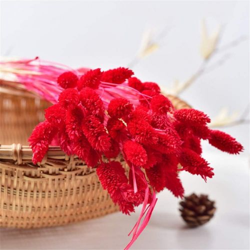  Brand: LucaSng LucaSng 50pcs Dried Pampasgrass Dried Flower Bouquet Decorative Artificial Flowers for Home Living Room Vase Wedding