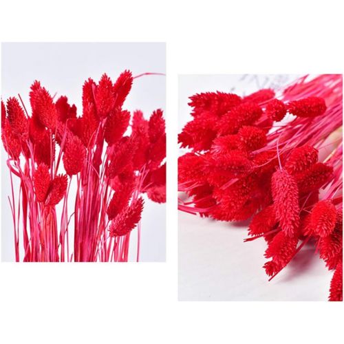  Brand: LucaSng LucaSng 50pcs Dried Pampasgrass Dried Flower Bouquet Decorative Artificial Flowers for Home Living Room Vase Wedding