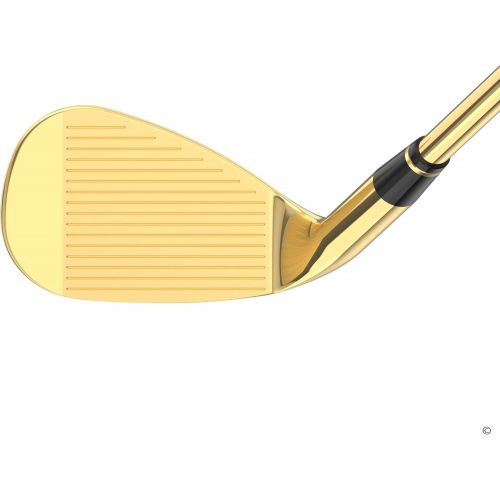  [아마존베스트]Lucky Wedges Gold 60 Degree Lob Wedge - 10 Degrees Bounce, 35 Regular Flex Steel Shaft, Forged Soft Carbon Steel, Right Handed, Soft Grips