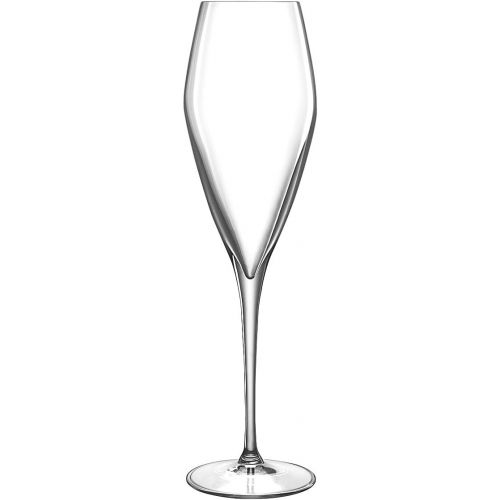  Luigi Bormioli Regency 9.5 oz. Champagne/Flute Stem, Set of 4, Clear