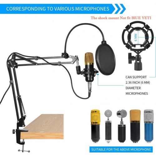  Luling Arts Microphone Stand for Blue Yeti, Boom Arm Scissor Mic Stand with Windscreen and Double layered screen Pop Filter Heavy Duty Mic Boom Scissor Arm Stands, Broadcasting and Recording.G