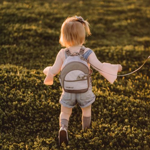  [아마존베스트]Lulyboo Toddler Safety Harness and Backpack