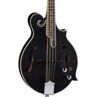 Luna Guitars},description:Carpe Noctem! Seize the night with the Moonbird Series mandolins by Luna. These bluegrass-style instruments are inspired by the harmony between the moon a
