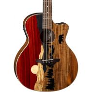 Luna Guitars Vista Bear 4 String Acoustic/Electric Bass with Case, Right (VISTABEARBASS)