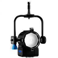 Lupo Dayled 1000 PRO Fresnel (5600K, Pole-Operated Yoke)