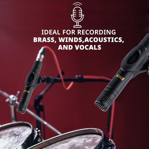  LyxPro SDPC-2 Stereo Pair of Pencil Condenser Stick Instrument Microphone Pair - Interchangeable Omni, Cardioid & Super Cardioid Capsules Included