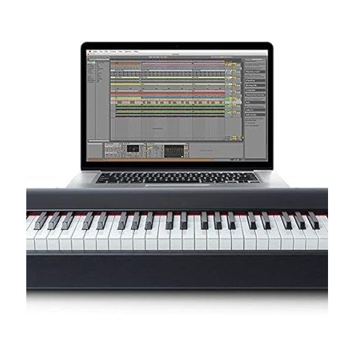  M-Audio Hammer 88 - USB MIDI Keyboard Controller with 88 Hammer Action Piano Style Keys Including A Studio Grade Recording Software Suite