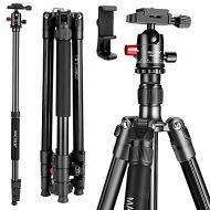 MACTREM Professional Camera Tripod with Phone Mount, 62 DSLR Tripod for Travel, Super Lightweight and Reliable Stability, Ball Head Tripod Detachable Monopod with Carry Bag (Black)