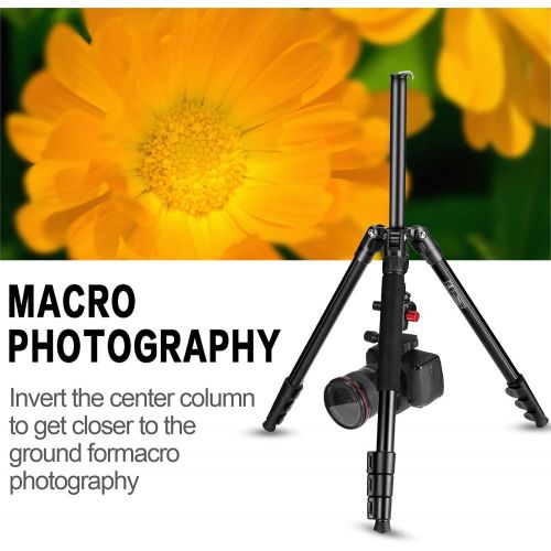  MACTREM Professional Camera Tripod with Phone Mount, 62 DSLR Tripod for Travel, Super Lightweight and Reliable Stability, Ball Head Tripod Detachable Monopod with Carry Bag (Black)