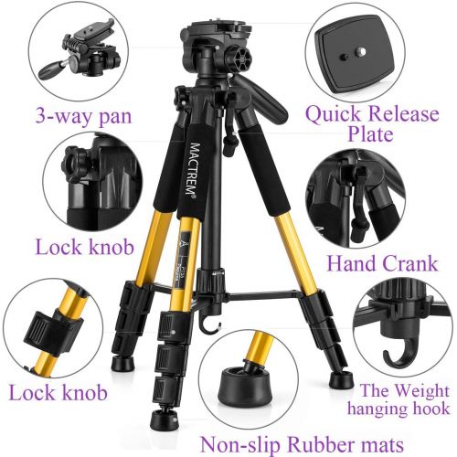  MACTREM M-PT55-Bk PT55 Travel Camera Tripod Lightweight Aluminum for DSLR SLR Canon Nikon Sony Olympus DV with Carry Bag -11 Lbs(5Kg) Load (Gold)