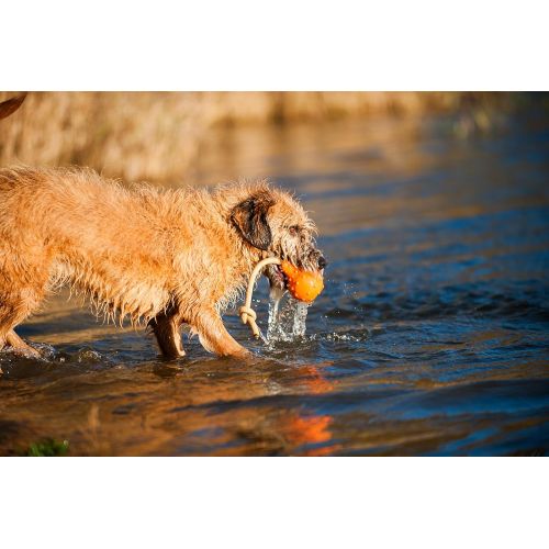  MAJORDOG Swimming Eddy Toy, 8, Orange