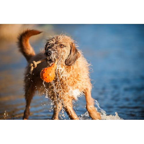  MAJORDOG Swimming Eddy Toy, 8, Orange