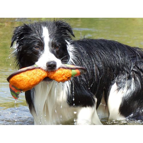  MAJORDOG Duck Dog Training Retrieval Toy