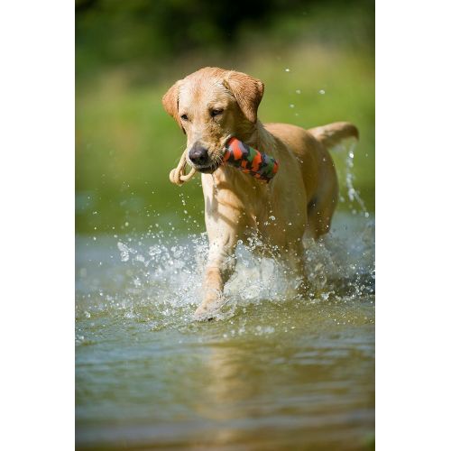  MAJORDOG MajorDog Buoy Dummy Dog Toy