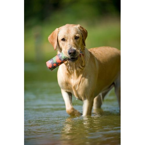  MAJORDOG MajorDog Buoy Dummy Dog Toy