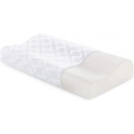 MALOUF Z Memory Foam Contour Pillow - Removable Tencel Cover - Queen