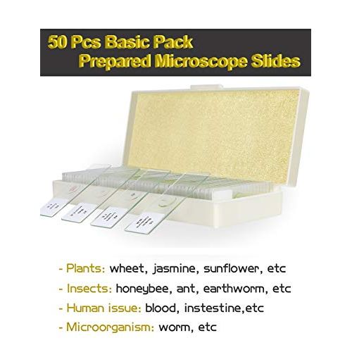  [아마존베스트]MAXLAPTER Microscope Slides