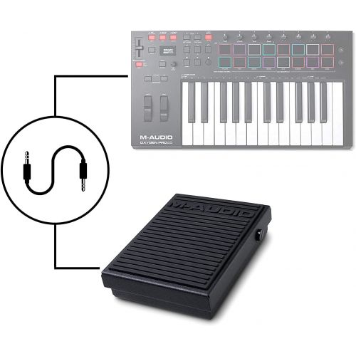  [아마존베스트]M-Audio SP-1 | Sustain Foot Pedal or FS controller for Synthesizers, Tone Modules, and Drum Machines