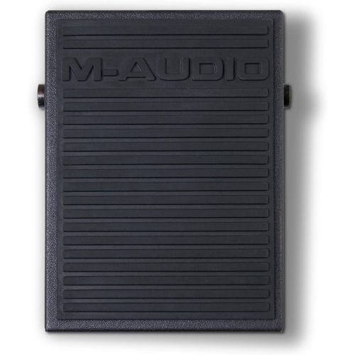  [아마존베스트]M-Audio SP-1 | Sustain Foot Pedal or FS controller for Synthesizers, Tone Modules, and Drum Machines