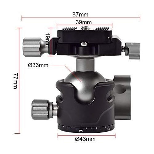  [아마존베스트]MENGS BH-36 Panorama Ball Head with 360° Rotating Clamp + Quick Release Plate for DSLR Camera Camcorder and Tirpod Head Max. Load 10 kg