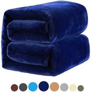 [아마존 핫딜] [아마존핫딜]MEROUS Soft Queen Size Fleece Bed Summer Blanket 330 GSM Warm Cozy Microfiber Fuzzy Lightweight All Season Blankets for Couch Travel Sofa, Sky Blue