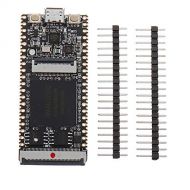 MFMYUANHAN 64Mbit SDRAM Onboard FPGA Downloader Dual Flash RISC一V Development Board Module