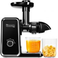 MICHELANGELO Cold Press Juicer Machines, Slow Masticating Juicer with 2 Speed & Reverse Function, Slow Juicer with Quiet Motor, Small Juice Maker for Vegetable & Fruit, Celery Juic
