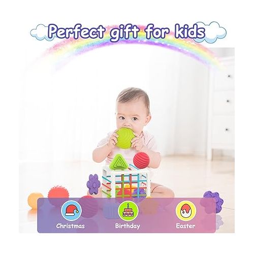  MINGKIDS Montessori Toys for 1 Year Old,Baby Sorter Toy 6 Pcs Multi Sensory Shape, Toddler Developmental Learning Toys Birthday Gifts,Baby Toys 6-12-18 Months