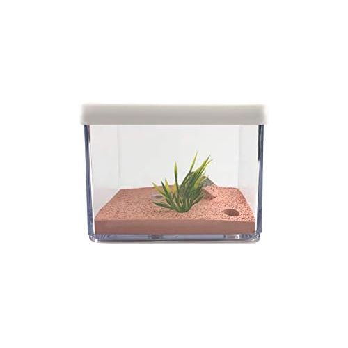  [아마존베스트]MOCOHANA Ant Farm Box Ant Home for Kids Study of Ant Behavior Ant Nest Farm Educational Formicarium for Ant