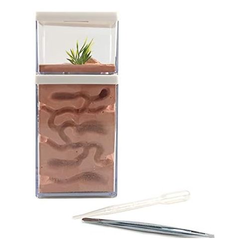  [아마존베스트]MOCOHANA Ant Farm Box Ant Home for Kids Study of Ant Behavior Ant Nest Farm Educational Formicarium for Ant