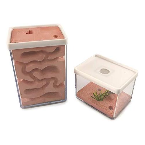  [아마존베스트]MOCOHANA Ant Farm Box Ant Home for Kids Study of Ant Behavior Ant Nest Farm Educational Formicarium for Ant