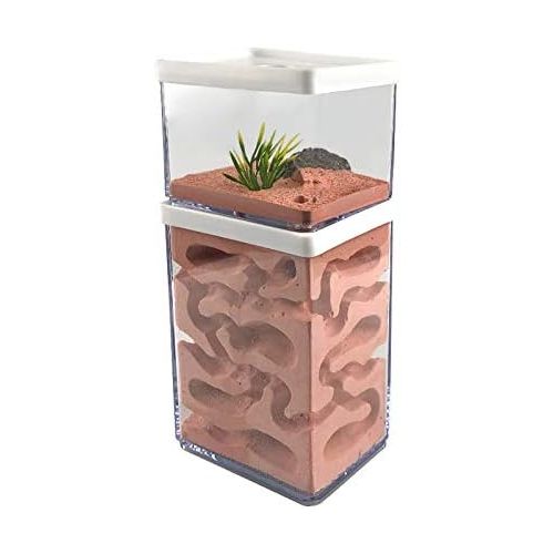  [아마존베스트]MOCOHANA Ant Farm Box Ant Home for Kids Study of Ant Behavior Ant Nest Farm Educational Formicarium for Ant