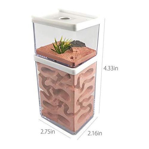  [아마존베스트]MOCOHANA Ant Farm Box Ant Home for Kids Study of Ant Behavior Ant Nest Farm Educational Formicarium for Ant