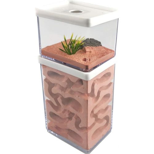  [아마존베스트]MOCOHANA Ant Farm Box Ant Home for Kids Study of Ant Behavior Ant Nest Farm Educational Formicarium for Ant