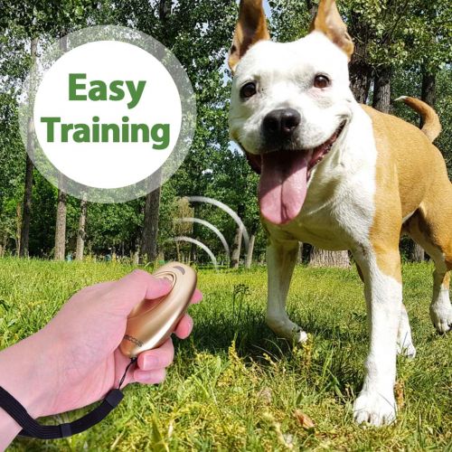  [아마존 핫딜]  [아마존핫딜]Modus Anti Barking Device, Ultrasonic Dog Bark Deterrent and 2 in 1 Dog Training Aid Control Range of 16.4 Ft w/Anti-Static Wrist Strap LED Indicate 100% Safe Walk a Dog Outdoor