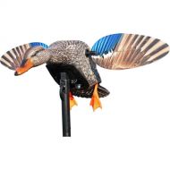 Mojo Decoys MOJO MINI MALLARD HEN HW2471