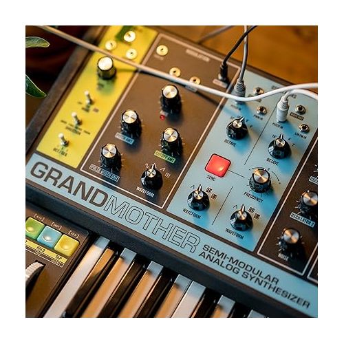  Moog Grandmother Semi-Modular Analog Keyboard Synthesizer