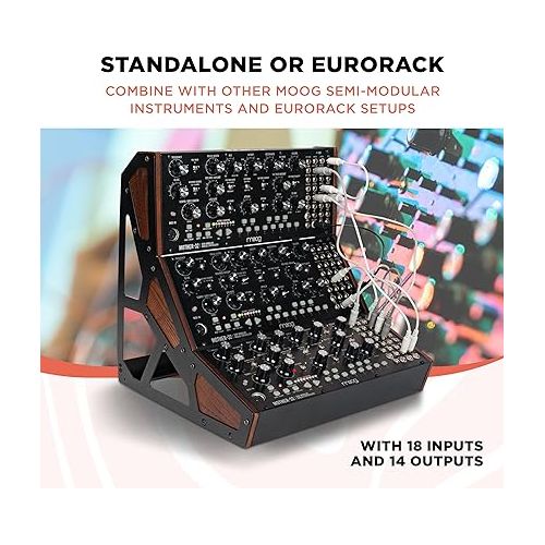  MOOG Mother-32 Semi-Modular Eurorack Analog Synthesizer with 32-Step Sequencer, VC Oscillator and Ladder Filter, MIDI in, Extended Patchbay, CV Jack