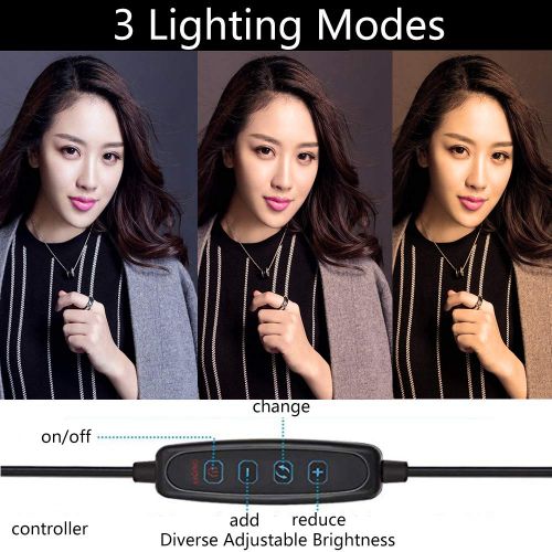  MOUNTDOG 6” Selfie LED Ring Light with Stand Circle Lighting Remote Control for Make-up/YouTube Video/Live Streaming Dimmable 3 Light Modes Mini Desktop