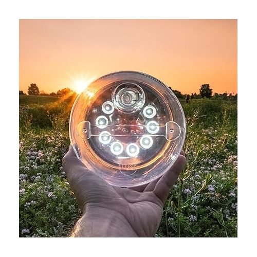 MPOWERD Luci Original: Solar Inflatable Camping Lantern Rechargeable via Solar or USB-C, 65 Lumens, Clear Finish + Warm LEDs, Lasts Up to 24 hrs, Waterproof, Camping, Backpacking, Emergencies