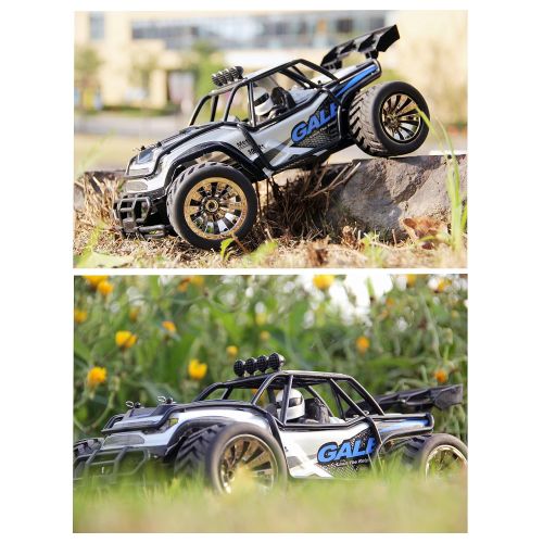  MRHESUS RC Buggy Monster High Car-Remote Control Car 1:16 2WD 2.4Ghz High Speed Radio Controlled Electric Car with 2 Rechargeable Batteries-Best Gift for Kids (Blue)