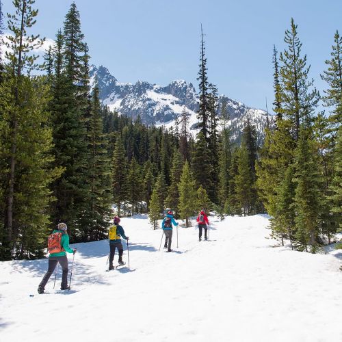 엠에스알 [아마존베스트]MSR Womens Lightning Trail Hiking Snowshoes