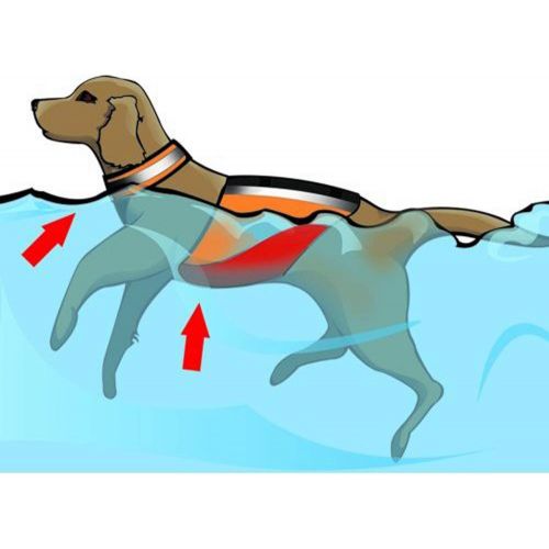  MTI Adventurewear Underdog Canine Life Jacket