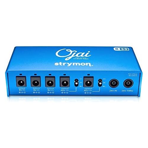  [아마존베스트]Strymon Ojai R30Multi Power Supply: Power Supply Guitar/Bass